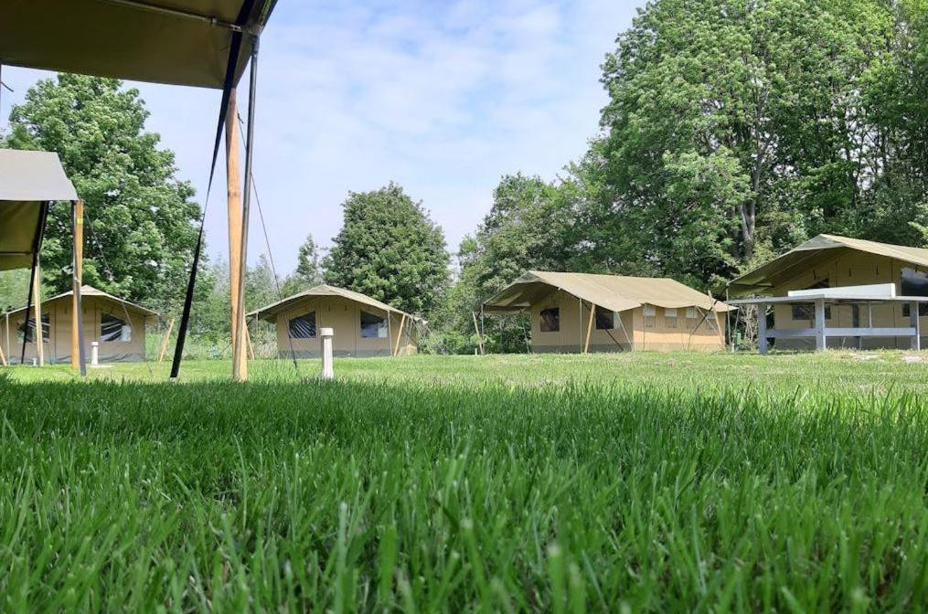 Easyatent Safari Tent Lanterna Červar-Porat Quarto foto